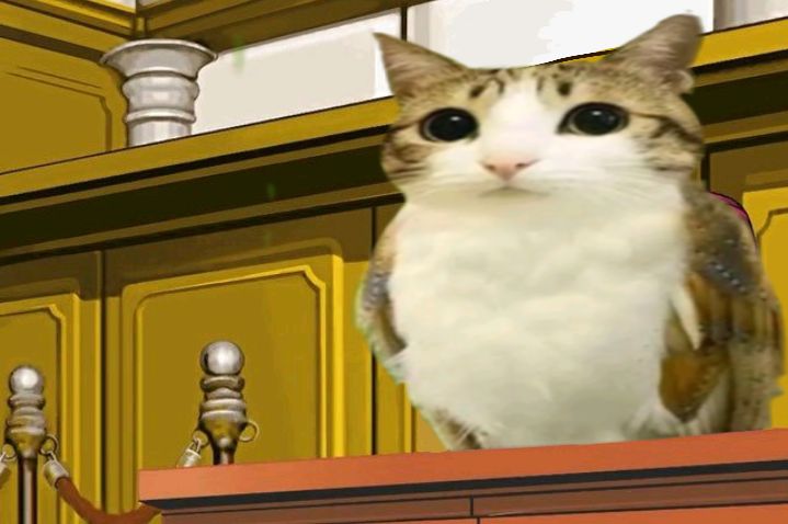MEOWL