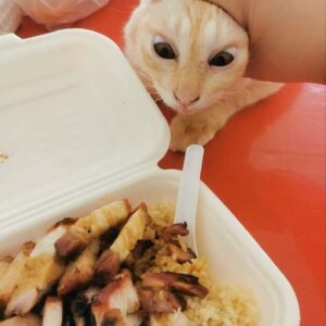 comida